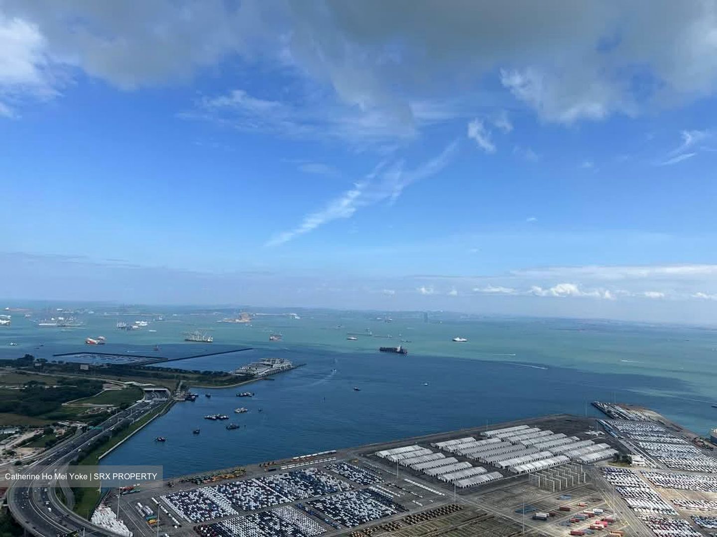 Skysuites@Anson (D2), Apartment #529279301